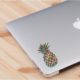 Pineapple stained glass cute theme skin decal sticker (2 in a pack)